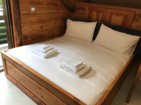 Tiny Charming Apartment close to the ski slopes Courmayeur